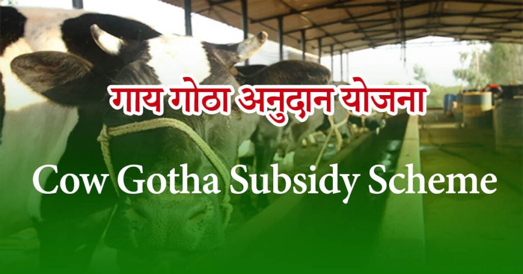 Cow Gotha Subsidy Scheme