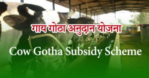 Cow Gotha Subsidy Scheme