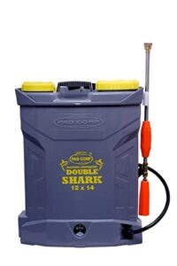Double Motor Sprayer Pump