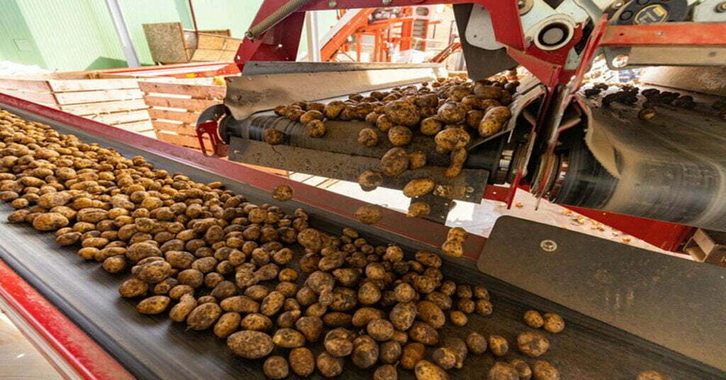 Small Scale Potato Farming Equipment