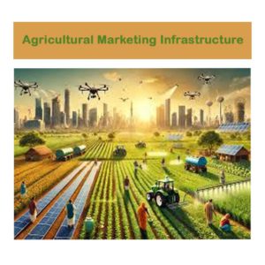 Agricultural Marketing Infrastructure