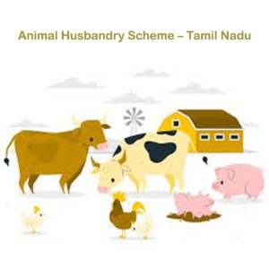 Animal Husbandry Scheme – Tamil Nadu