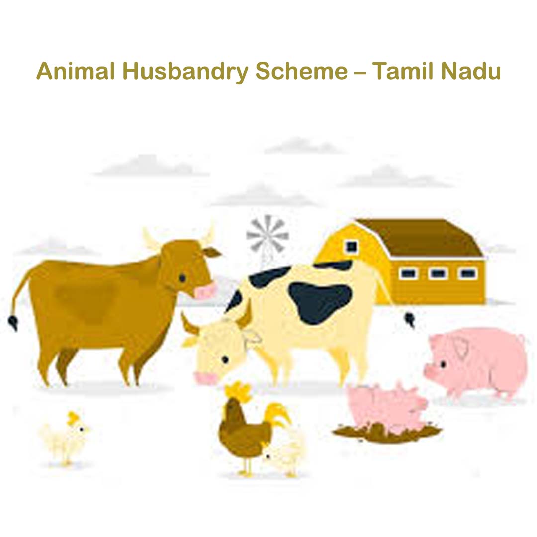 Animal Husbandry Scheme – Tamil Nadu