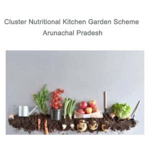 Cluster Nutritional Kitchen Garden Scheme