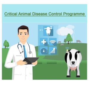 Critical Animal Disease Control Programme