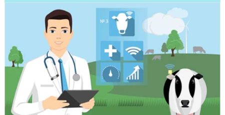 Critical Animal Disease Control Programme