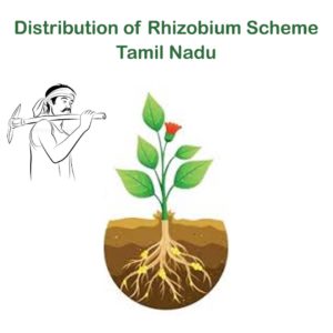 Distribution of Rhizobium Scheme – Tamil Nadu