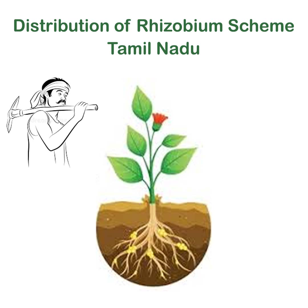 Distribution of Rhizobium Scheme – Tamil Nadu