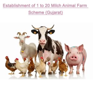 Establishment of 1 to 20 Milch Animal Farm Scheme – Gujarat