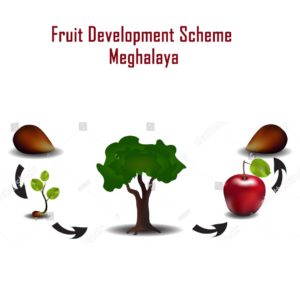 Fruit Development Scheme - Meghalaya