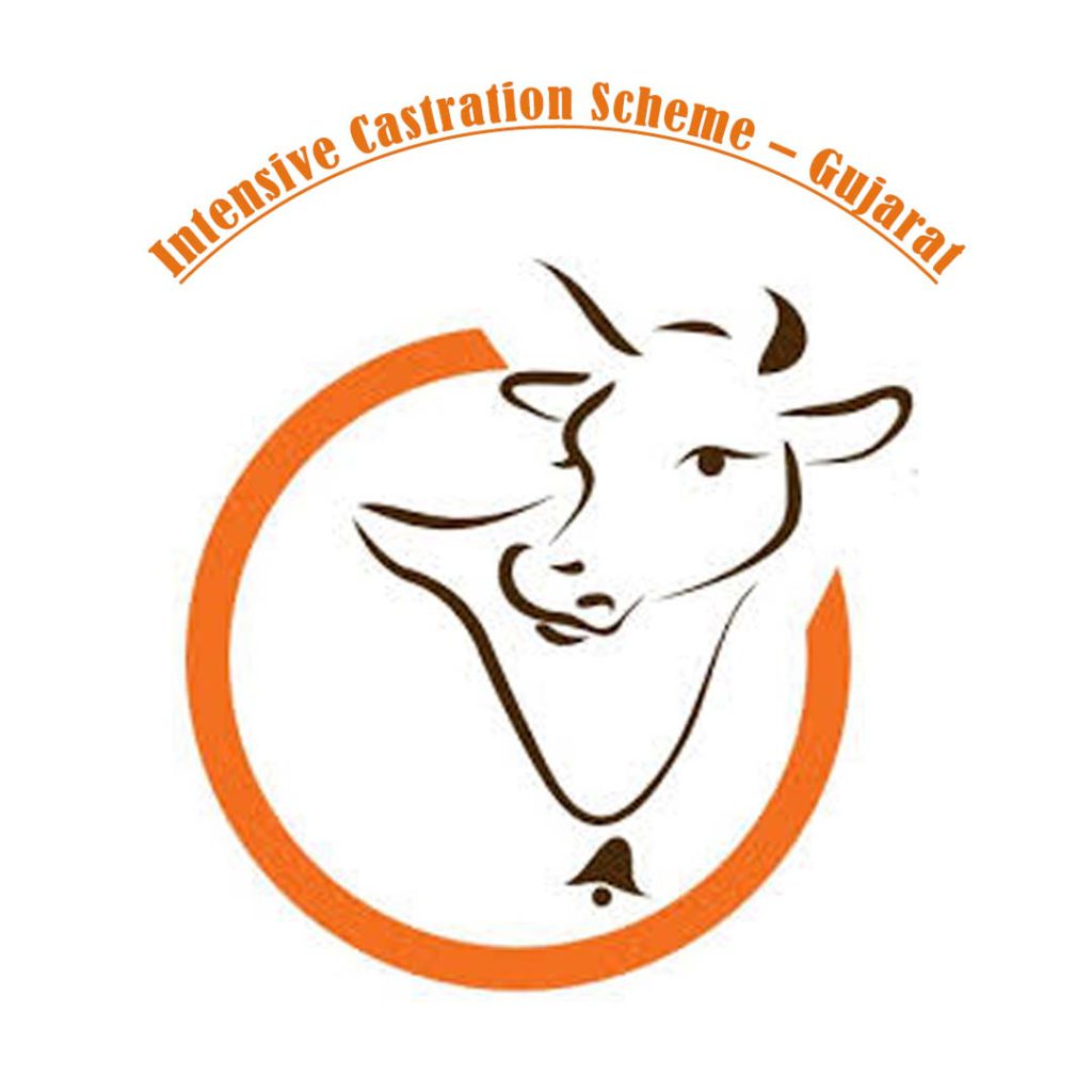 Intensive Castration Scheme – Gujarat