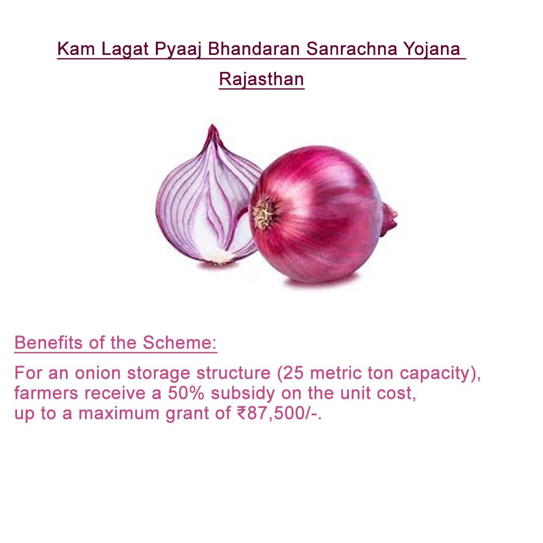 Kam Lagat Pyaaj Bhandaran Sanrachna Yojana - Rajasthan
