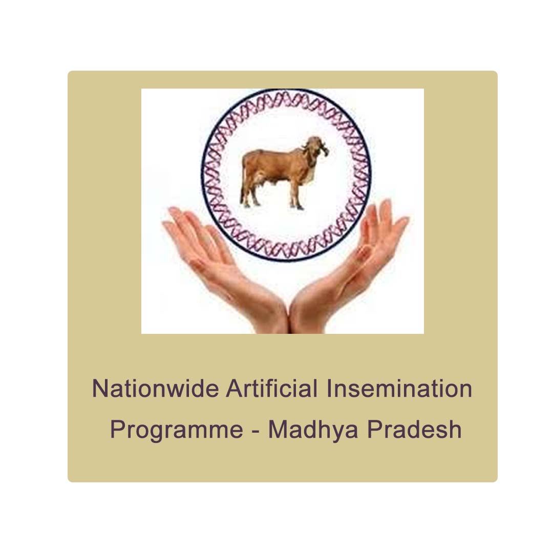 Nationwide Artificial Insemination Programme - Madhya Pradesh