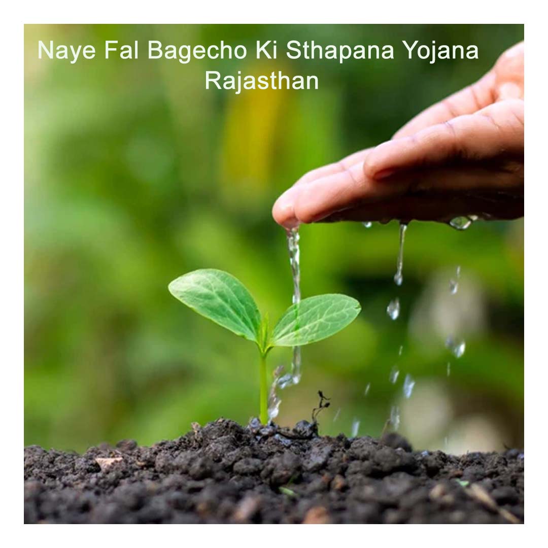 Naye Fal Bagecho Ki Sthapana Yojana - Rajasthan