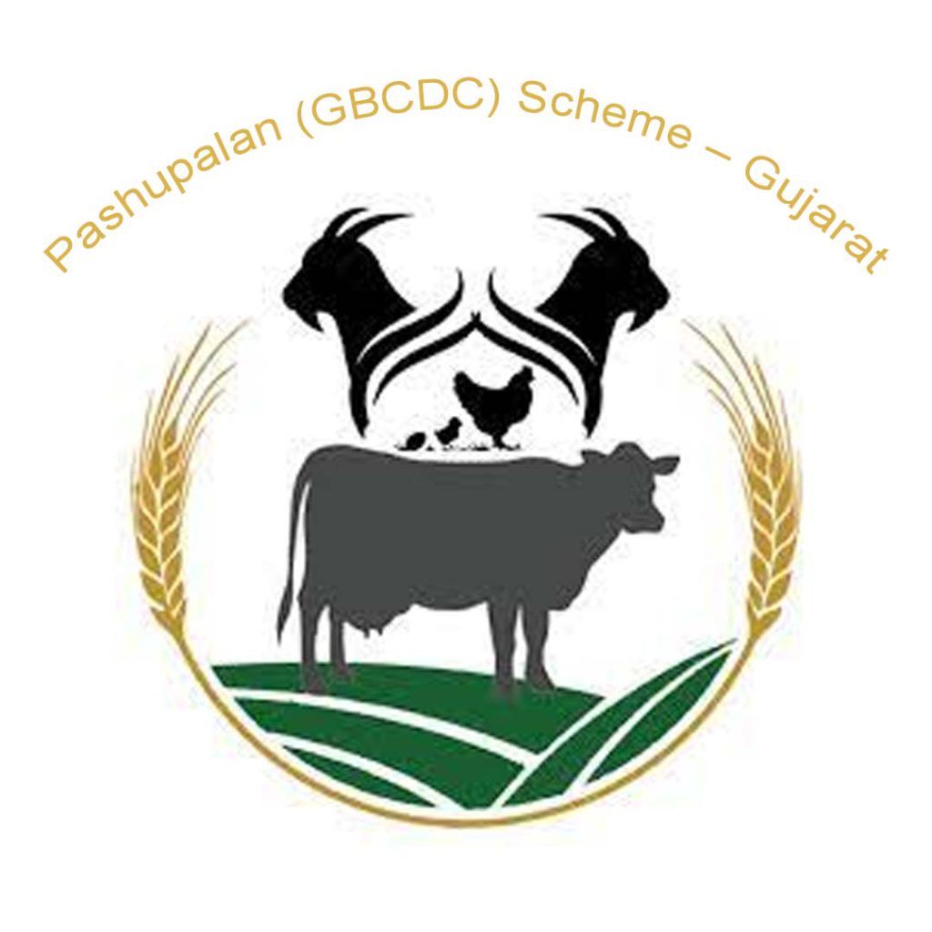 Pashupalan (GBCDC) Scheme – Gujarat