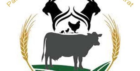 Pashupalan (GBCDC) Scheme – Gujarat