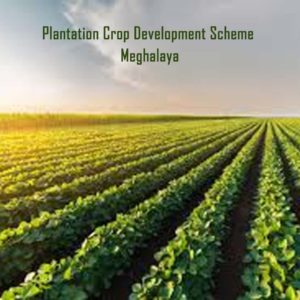 Plantation Crop Development Scheme – Meghalaya