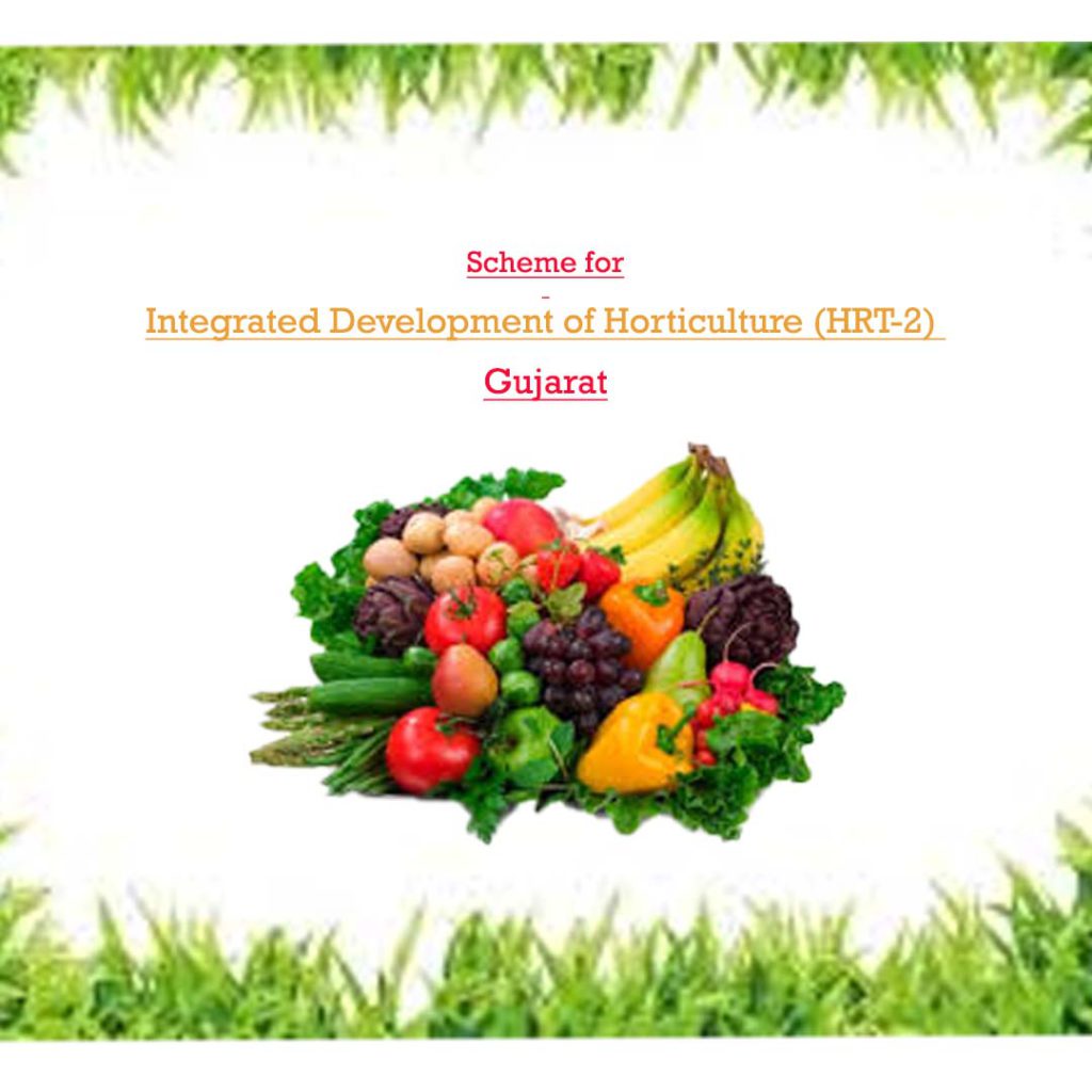 Scheme for Integrated Development of Horticulture (HRT-2) – Gujarat