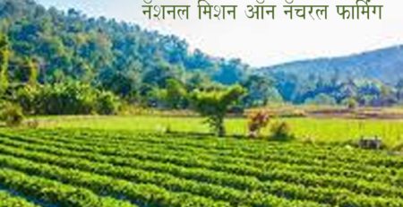 नॅशनल मिशन ऑन नॅचरल फार्मिंग