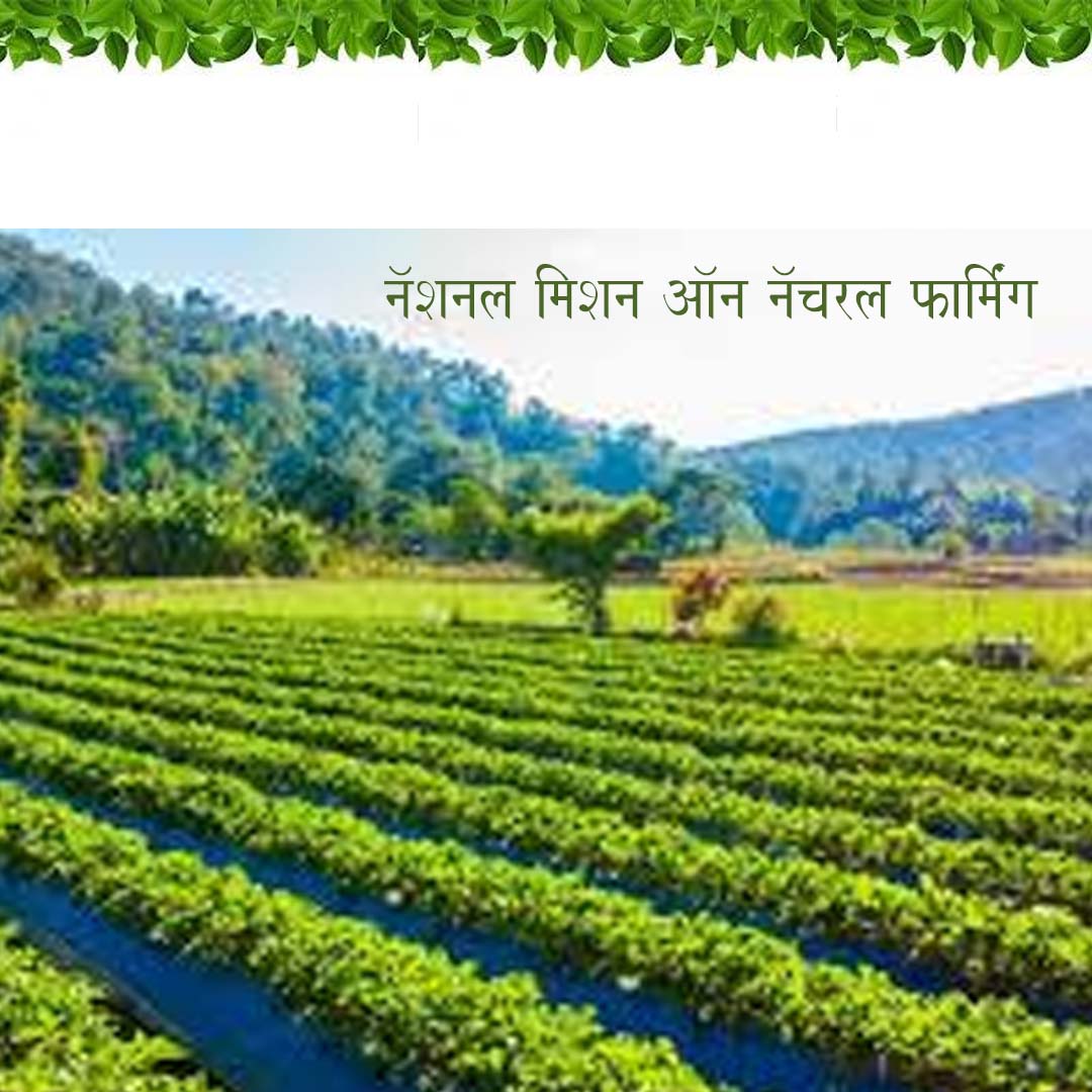 नॅशनल मिशन ऑन नॅचरल फार्मिंग
