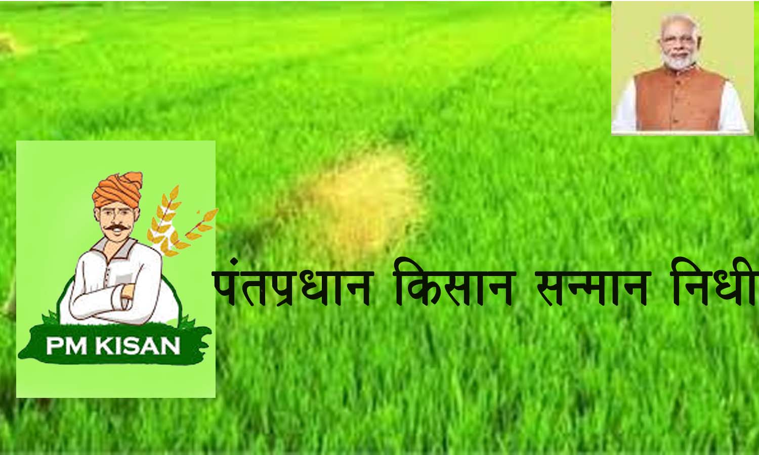 पंतप्रधान किसान सन्मान निधी