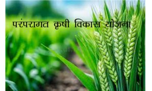 परंपरागत कृषी विकास योजना