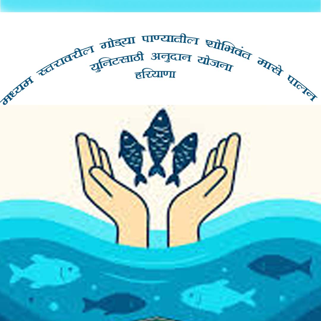 मध्यम स्तरावरील गोड्या पाण्यातील शोभिवंत मासे पालन युनिटसाठी अनुदान योजना