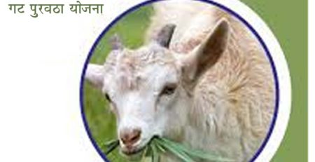 महाराष्ट्रातील बकरी व मेंढी गट पुरवठा योजना