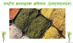 राष्ट्रीय अन्नसुरक्षा अभियान (एनएफएसएम)