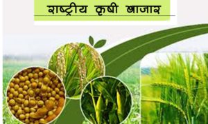 राष्ट्रीय कृषी बाजार