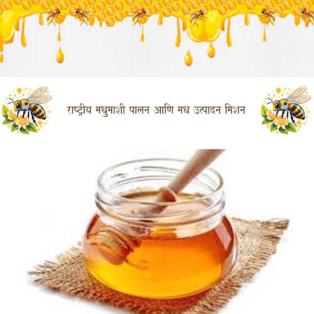 राष्ट्रीय मधुमाशी पालन आणि मध उत्पादन मिशन