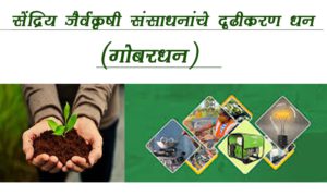 सेंद्रिय जैव-कृषी संसाधनांचे दृढीकरण धन (गोबरधन)