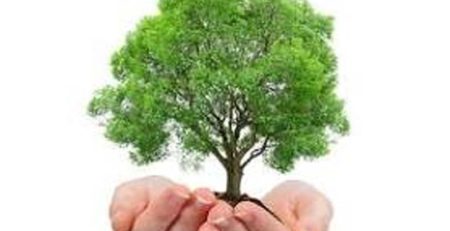 मुख्यमंत्री वृक्षारोपण प्रोत्साहन योजना