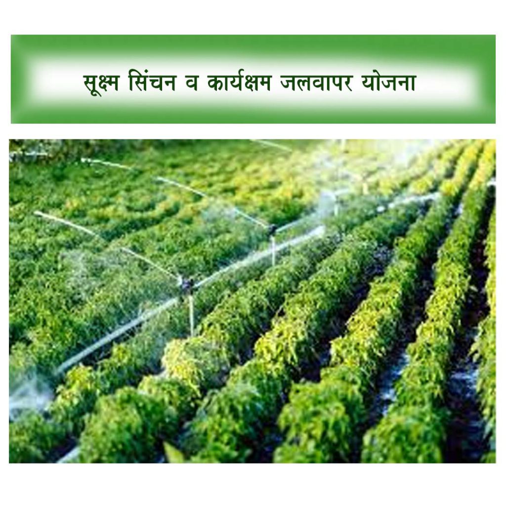 सूक्ष्म सिंचन व कार्यक्षम जलवापर योजना - महाराष्ट्र