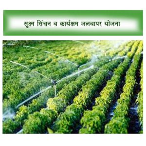 सूक्ष्म सिंचन व कार्यक्षम जलवापर योजना - महाराष्ट्र