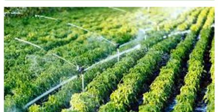 सूक्ष्म सिंचन व कार्यक्षम जलवापर योजना - महाराष्ट्र