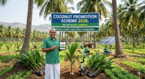 Coconut Promotion Scheme