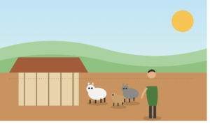 Goat Farming Scheme शेळी पालन योजना