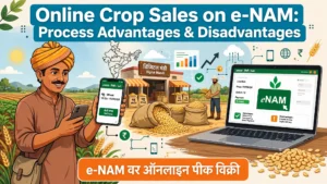 Online Crop Sales on e-NAM Process Advantages and Disadvantages e‑NAM वर ऑनलाइन पीक विक्री प्रक्रिया फायदे आणि तोटे